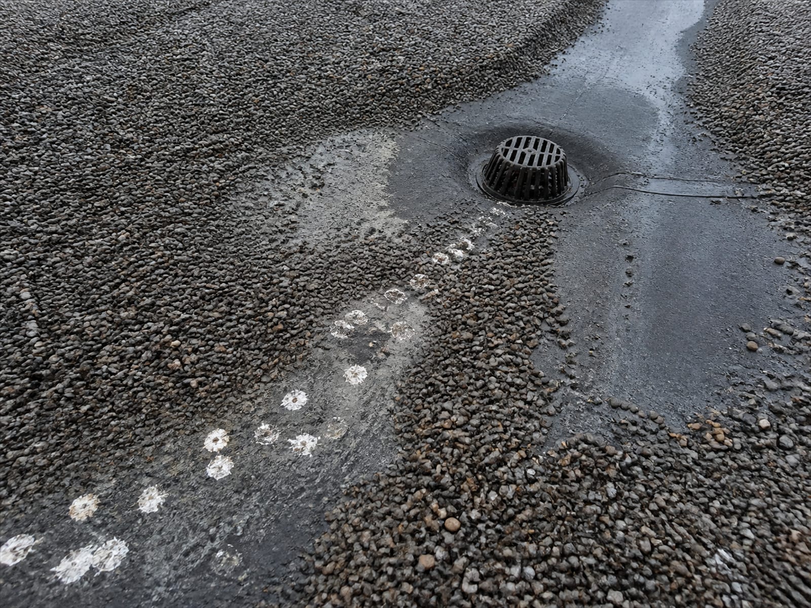 Goose droppings tracked across roof ballast toward a roof drain