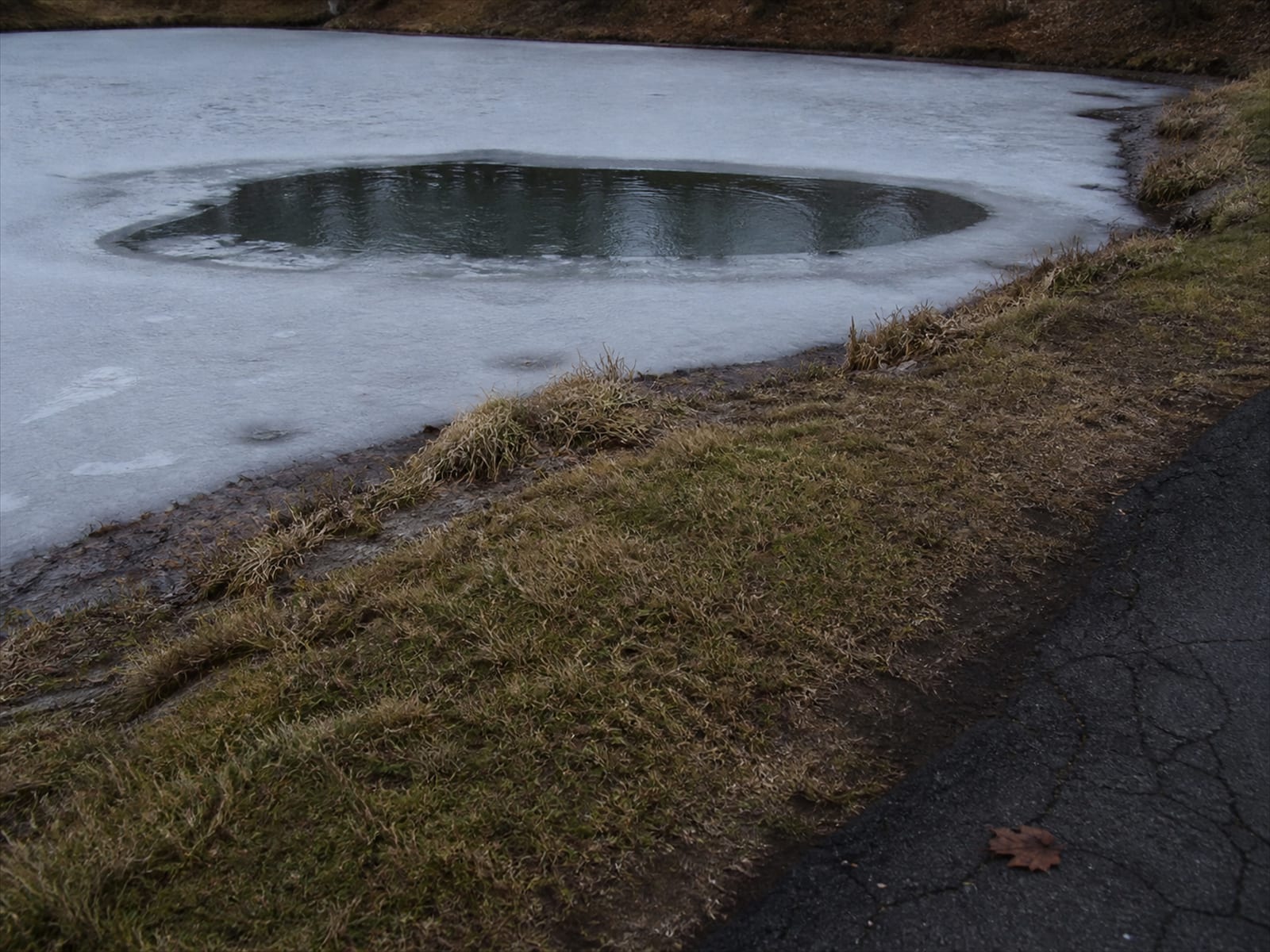 An unfrozen patch of open water in an otherwise frozen pond