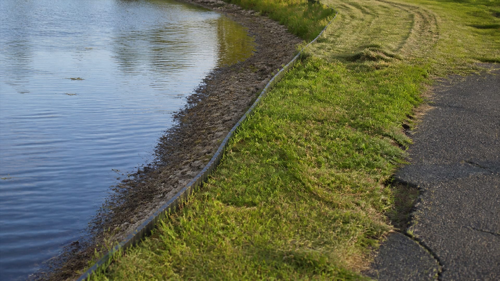 Safe Goose Deterrents for Properties: What Is Legal, What Is Safe and What Holds