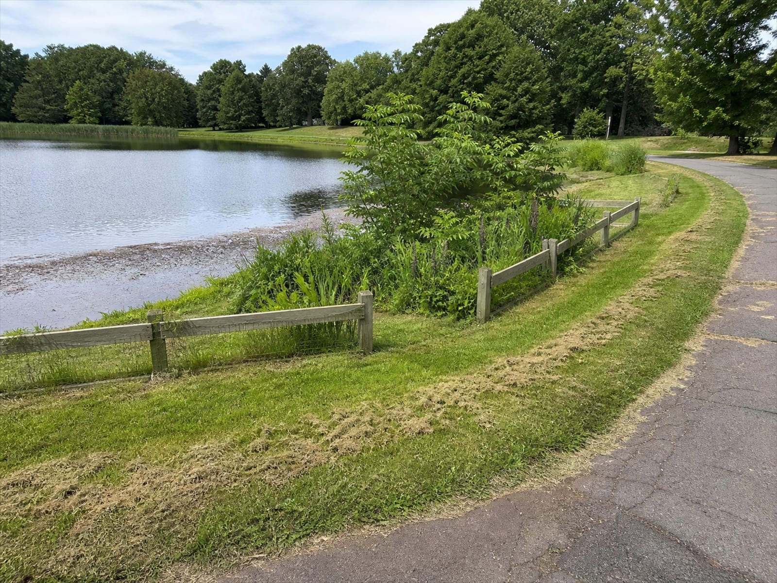 A three foot wire fence and unmown vegetation between a pond and mown lawn on a corporate campus