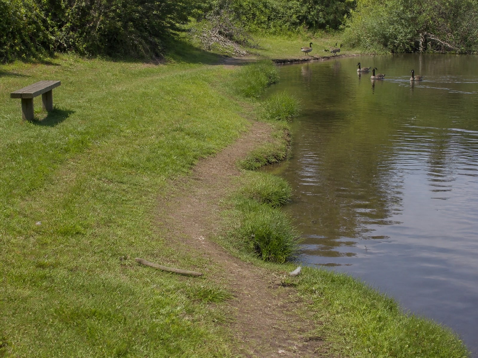 Mown turf beside water showing the recovery that repeat visits produce