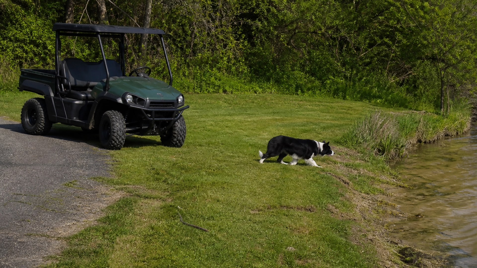 A plain utility vehicle parked at the edge of mown turf on a client property
