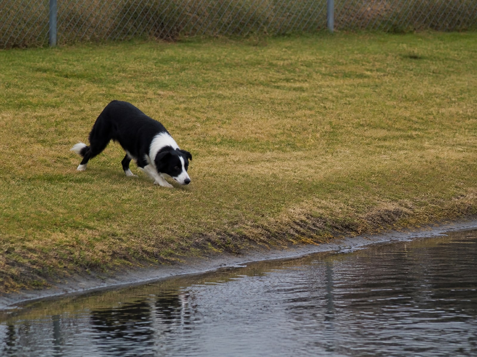 The grass and water edge of a property being read before a program is proposed
